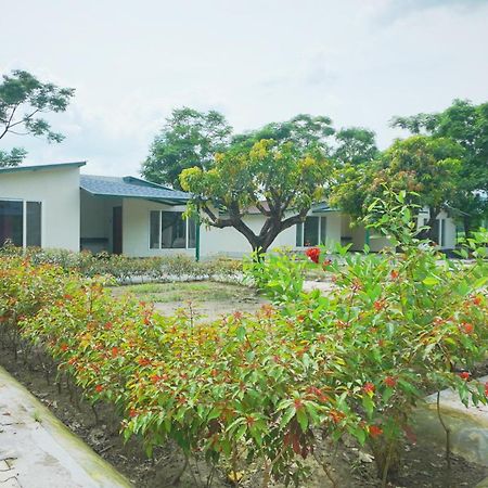 Sukoon - A Wellness Resort, Uttarakhand Chuharpur Exterior photo